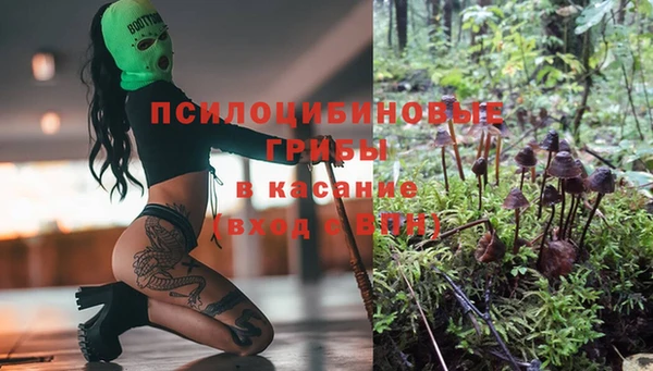 марки nbome Алексеевка