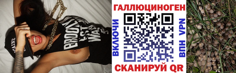где продают   Ужур  Псилоцибиновые грибы мухоморы 